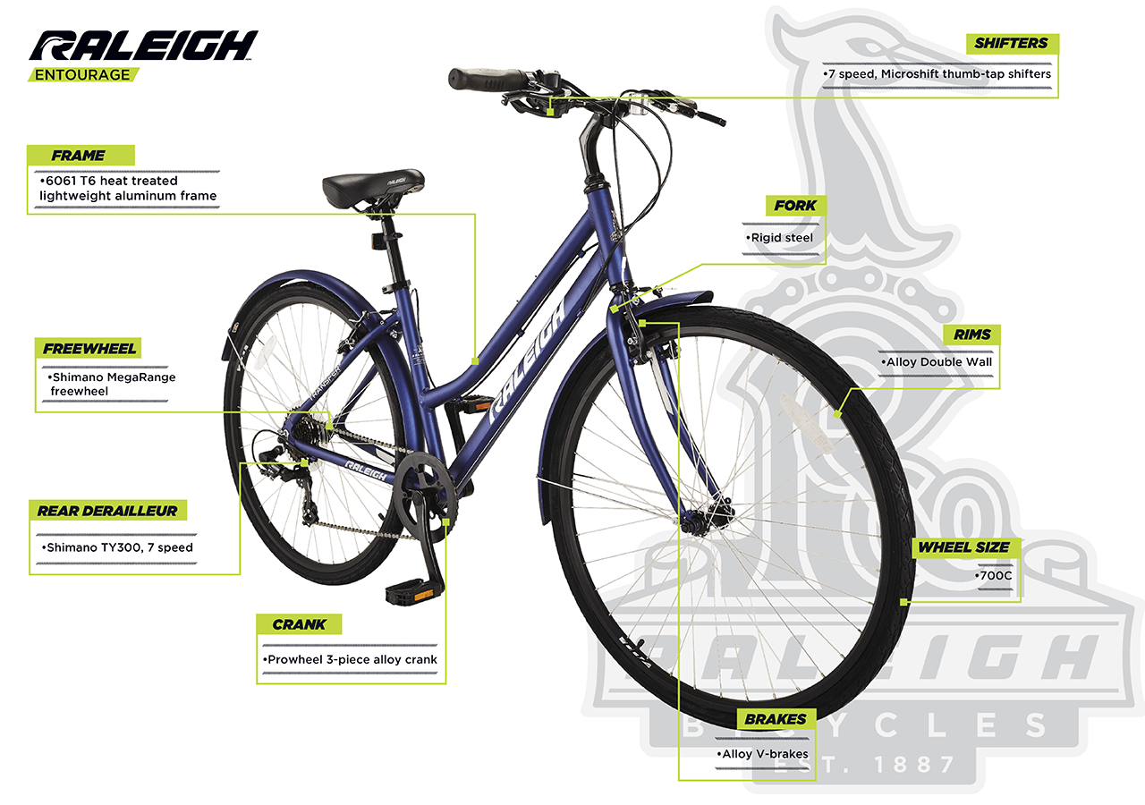 Entourage - Women's City Bike (700C) - infographic 